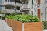 775 Juniper Street - Photo 38