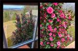 27 Sky High Drive - Photo 63