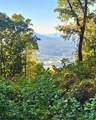 5 Rocky Knob - Photo 6