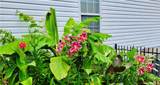 306 Hutchinson Farms Road - Photo 51