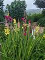 95 Scenic Way - Photo 73
