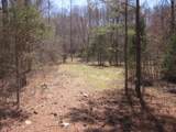 0000 Hwy 136- 11.31 Acres - Photo 10