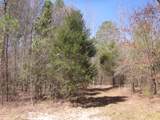 0000 Hwy 136- 11.31 Acres - Photo 11