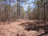 0000 Hwy 136- 11.31 Acres - Photo 13
