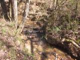 0000 Hwy 136- 11.31 Acres - Photo 14