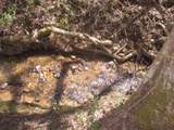 0000 Hwy 136- 11.31 Acres - Photo 15