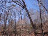 0000 Hwy 136- 11.31 Acres - Photo 17