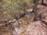 0000 Hwy 136- 11.31 Acres - Photo 18