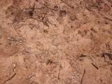 0000 Hwy 136- 11.31 Acres - Photo 19