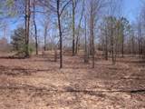 0000 Hwy 136- 11.31 Acres - Photo 20