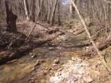 0000 Hwy 136- 11.31 Acres - Photo 21