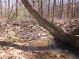 0000 Hwy 136- 11.31 Acres - Photo 22