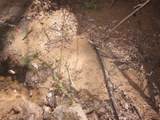 0000 Hwy 136- 11.31 Acres - Photo 23