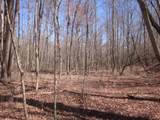 0000 Hwy 136- 11.31 Acres - Photo 25