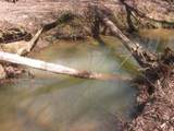 0000 Hwy 136- 11.31 Acres - Photo 30