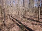 0000 Hwy 136- 11.31 Acres - Photo 35