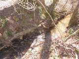 0000 Hwy 136- 11.31 Acres - Photo 36
