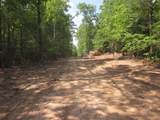 0000 Hwy 136- 11.31 Acres - Photo 4