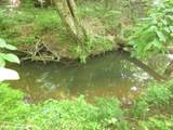 0000 Hwy 136- 11.31 Acres - Photo 41