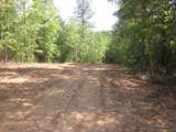 0000 Hwy 136- 11.31 Acres - Photo 5