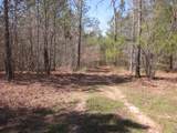 0000 Hwy 136- 11.31 Acres - Photo 6