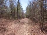 0000 Hwy 136- 11.31 Acres - Photo 7