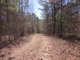 0000 Hwy 136- 11.31 Acres - Photo 8