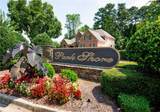 1710 Rising Mist Lane - Photo 111
