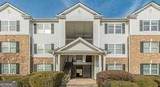 10303 Waldrop Place - Photo 11