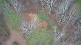 97 Waldrip Road - Photo 15