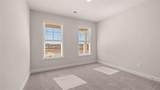 216 Parnassus Road - Photo 21