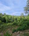 95 Ridgeline Lane - Photo 43