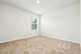 172 Percheron - Photo 13