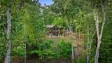 241 Wolf Creek Mountain Road - Photo 9