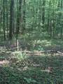 00 Clayton Gooch Road - Photo 11