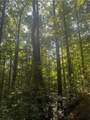 00 Clayton Gooch Road - Photo 2