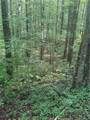 00 Clayton Gooch Road - Photo 6