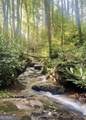 130 Mustang Creek Road - Photo 36