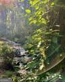 130 Mustang Creek Road - Photo 37