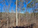 165 Horseshoe Bend - Photo 36