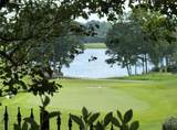 2115 Sugarloaf Club Drive - Photo 30