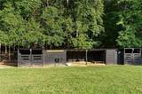 7255 Old Rico Road - Photo 68