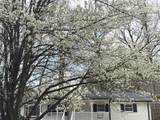 1980 Winchester Court - Photo 42