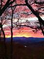 300 Sassafras Mountain Trail - Photo 2