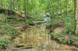 1175 Mars Hill Road - Photo 4