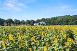1490 Durden Road - Photo 44