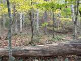 1806 Browning Road - Photo 14