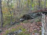 1806 Browning Road - Photo 31