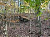 1806 Browning Road - Photo 70