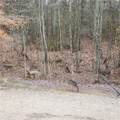 155 Brookside Way - Photo 40